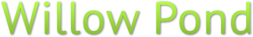 Willow Pond Willow Pond